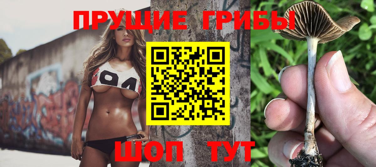 Самара  Псилоцибиновые грибы MAGIC MUSHROOMS  Вход с VPN 